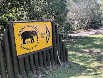 Elephant Trail - Black Route