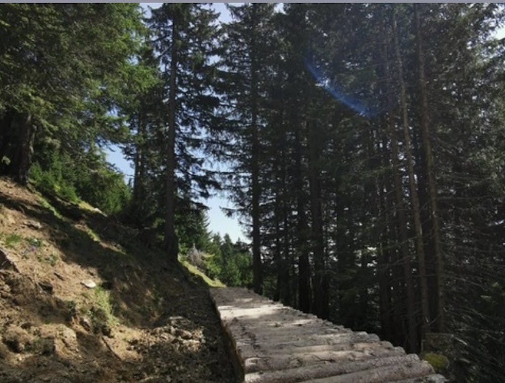 Photo from Alpöhis Long Trail