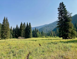 South Cottonwood: To the Meadows