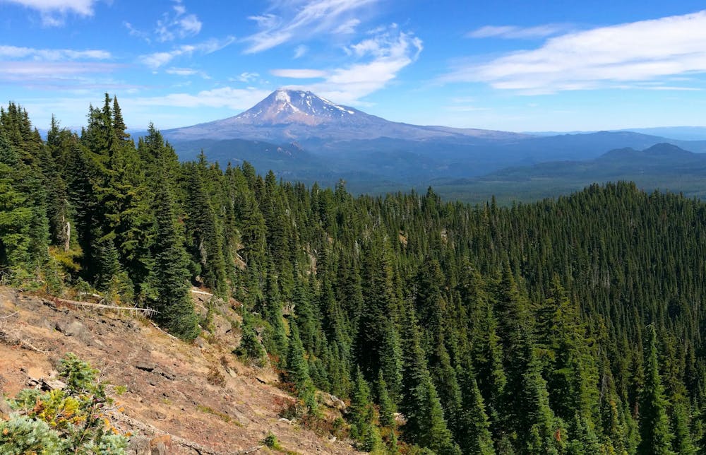 View of Mount Adams from the Indian Heaven Wilderness
