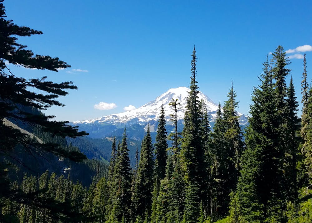 View of Mount Rainier from Mount Adams