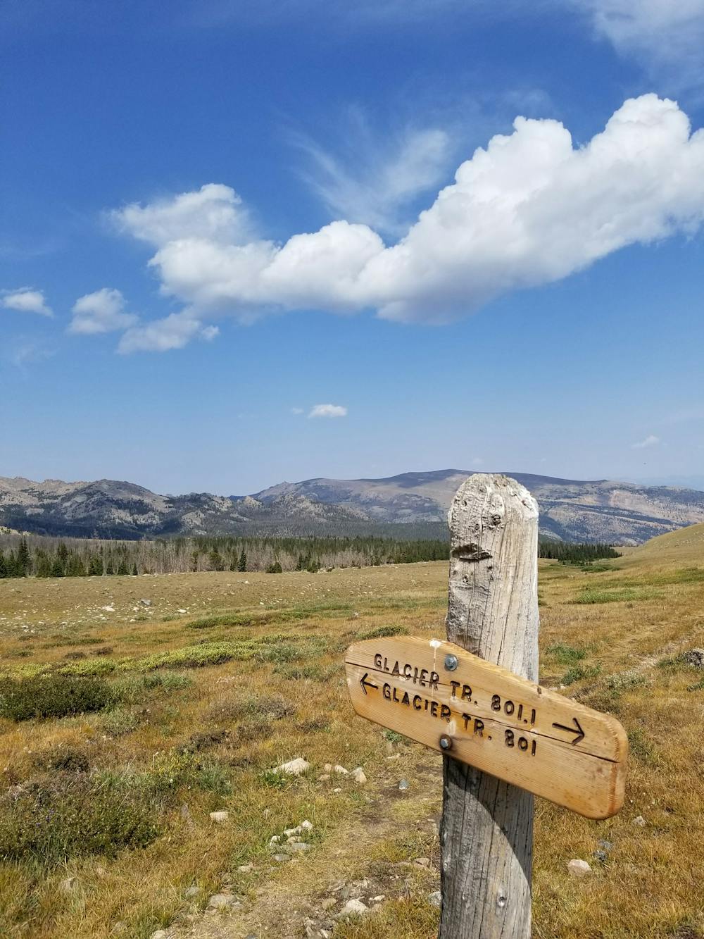 Photo from Glacier Trail Loop