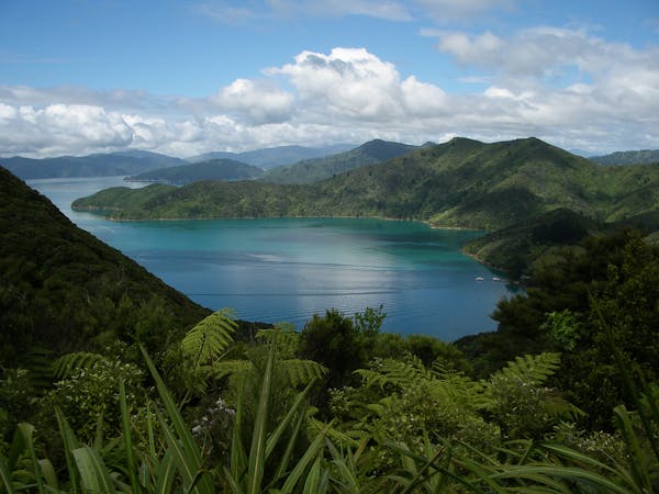 Nelson Hikes : The Best Tasman Bay Missions