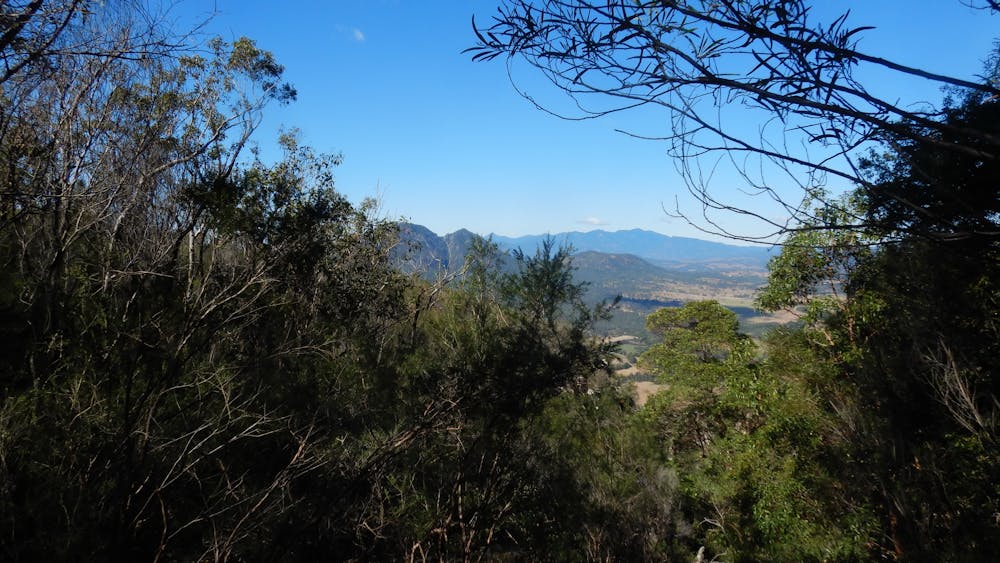 Photo from Mt Greville