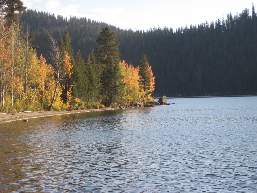 Fall colors at Marlette Lake