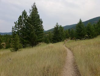 Barmeyer Trail