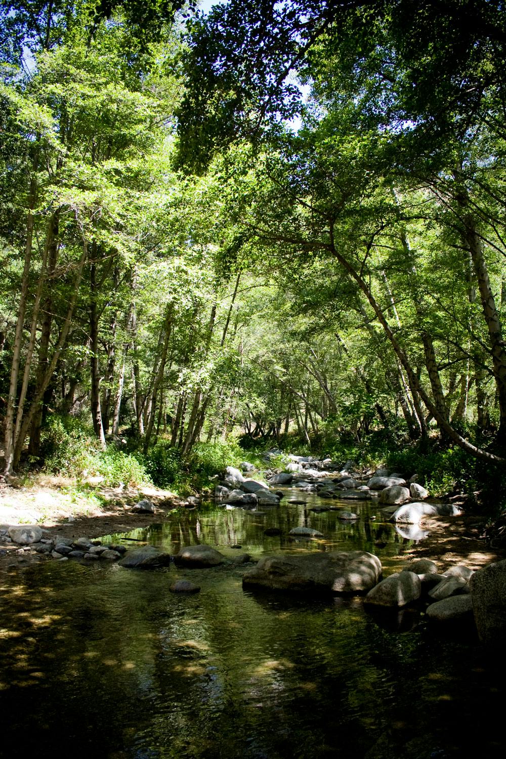 Creek Along Gabrielino Trail