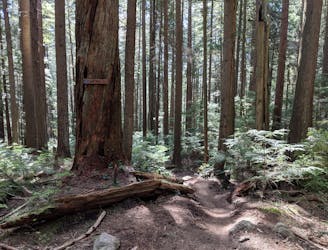 Mount Seymour: C-Buster and Severed D Double Loop