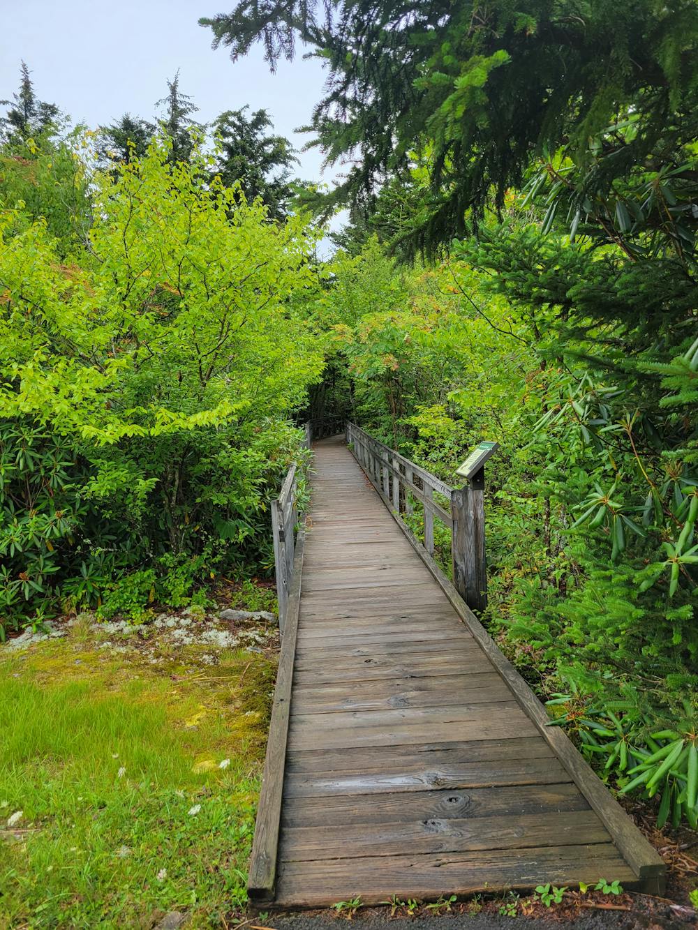 Big Spruce Boardwalk