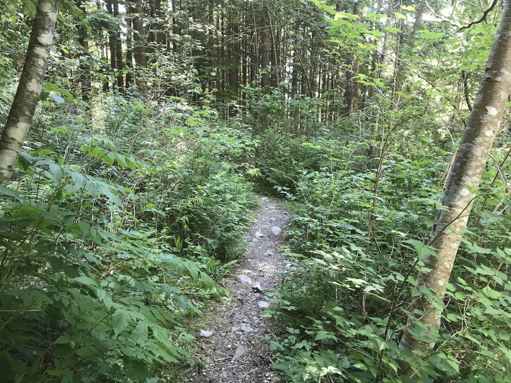 The trail to Tunnel Bluffs