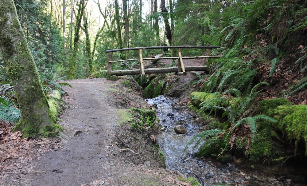 Photo from Cougar Mountain Loop