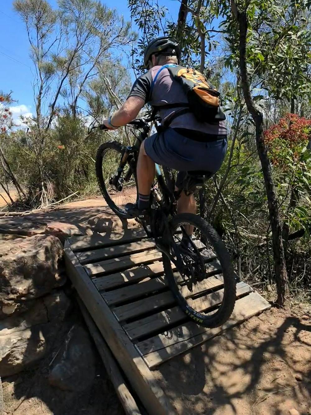 Photo from Manly Dam Mountain Bike Track
