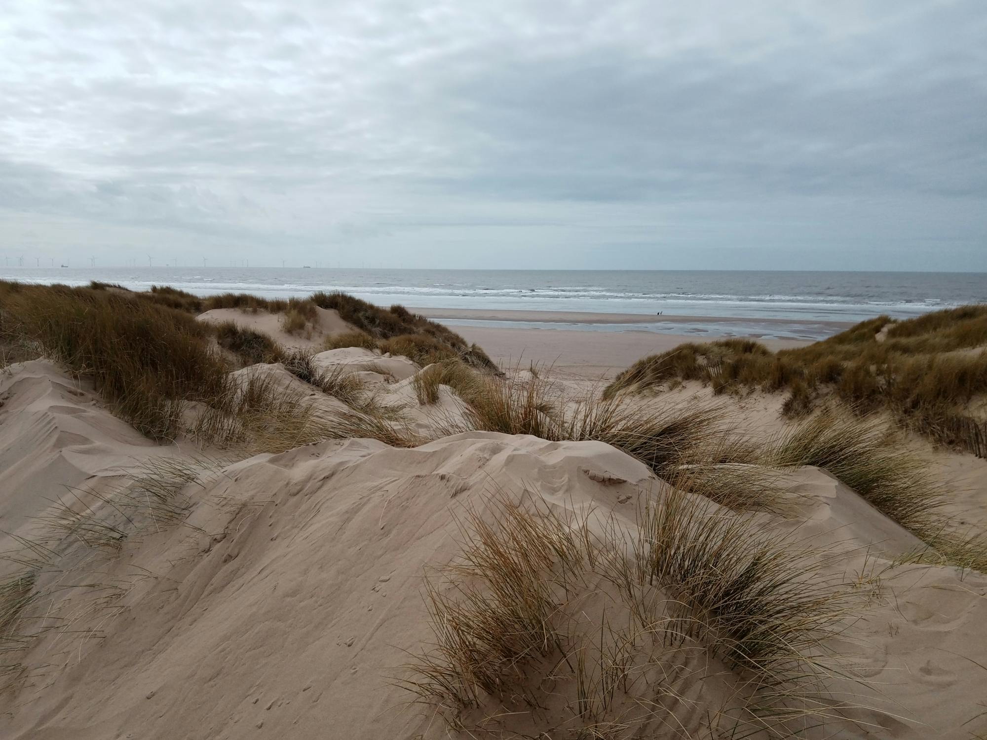 Looking across the dunes to the beach