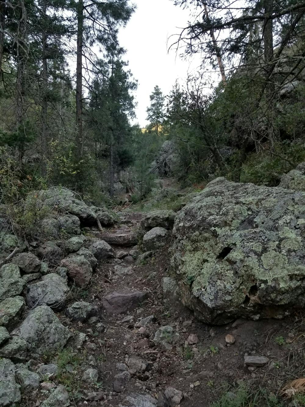 Mesa Trail Loop