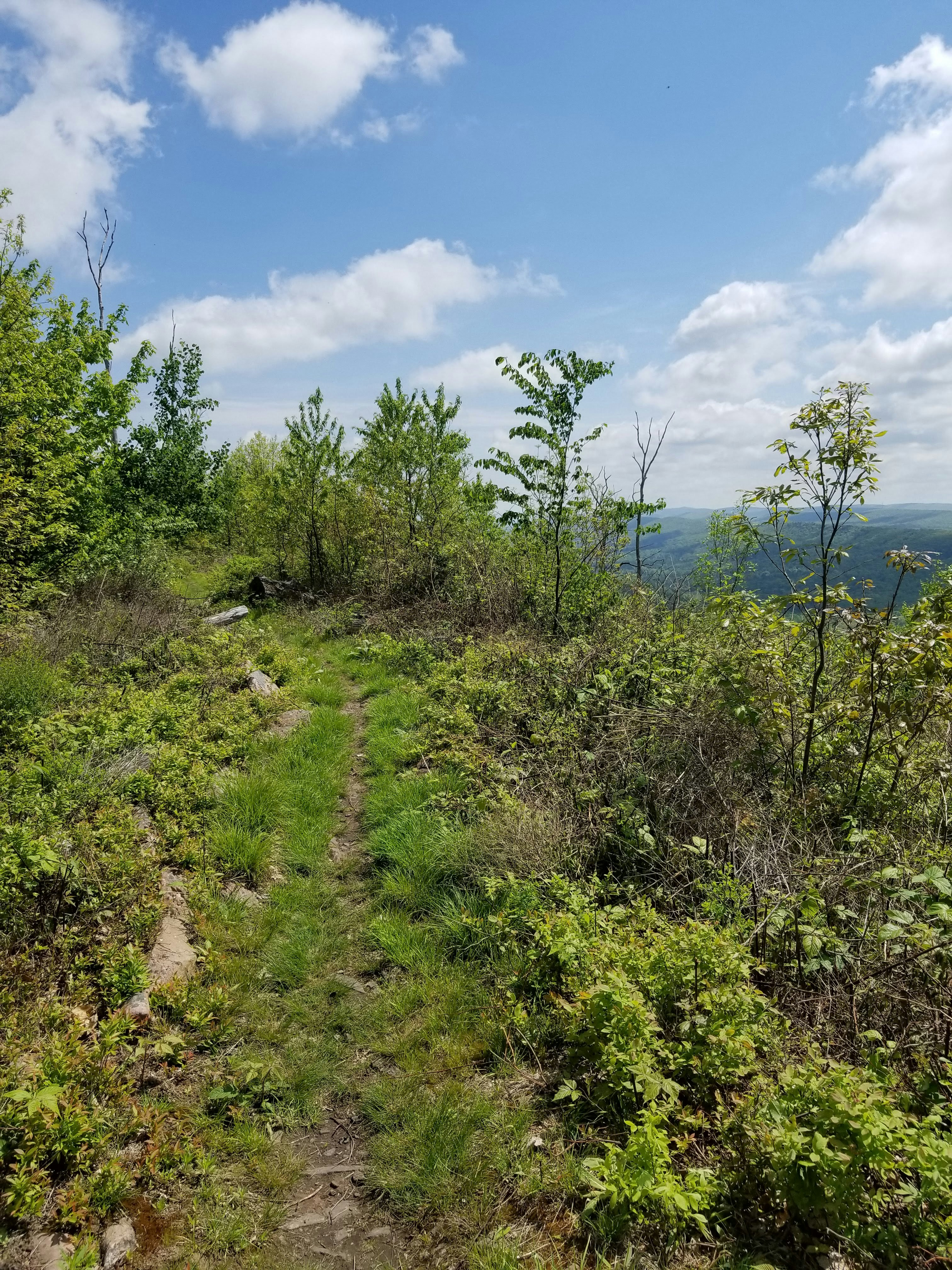 Tussey Mountain Trail  Hiking route in Pennsylvania  FATMAP