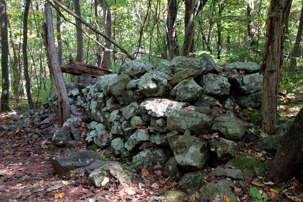 Stone Ruins at Fox Hollow