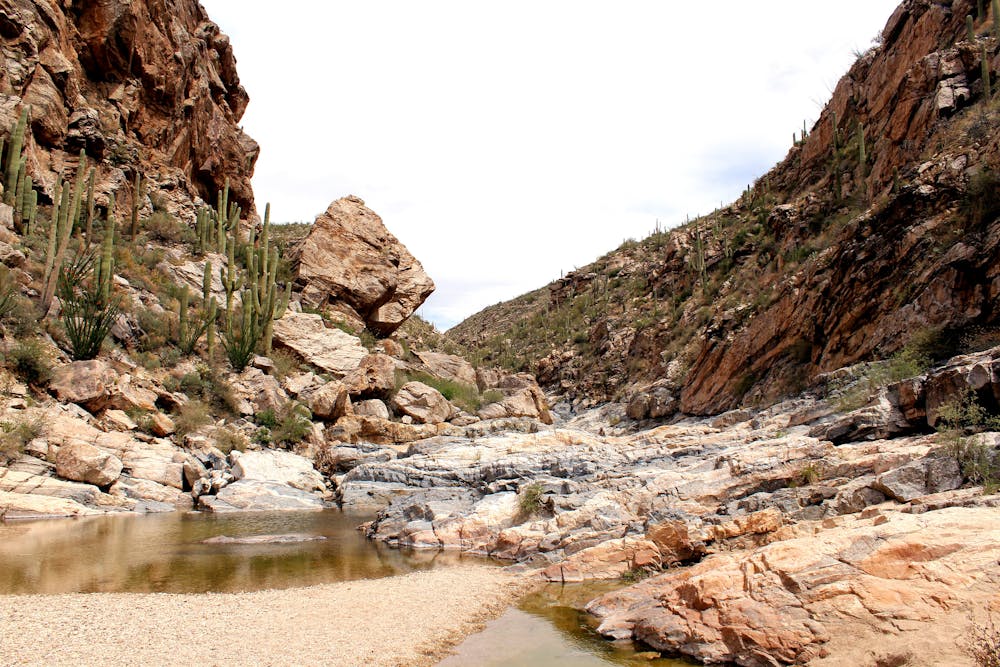 Photo from Tanque Verde Falls