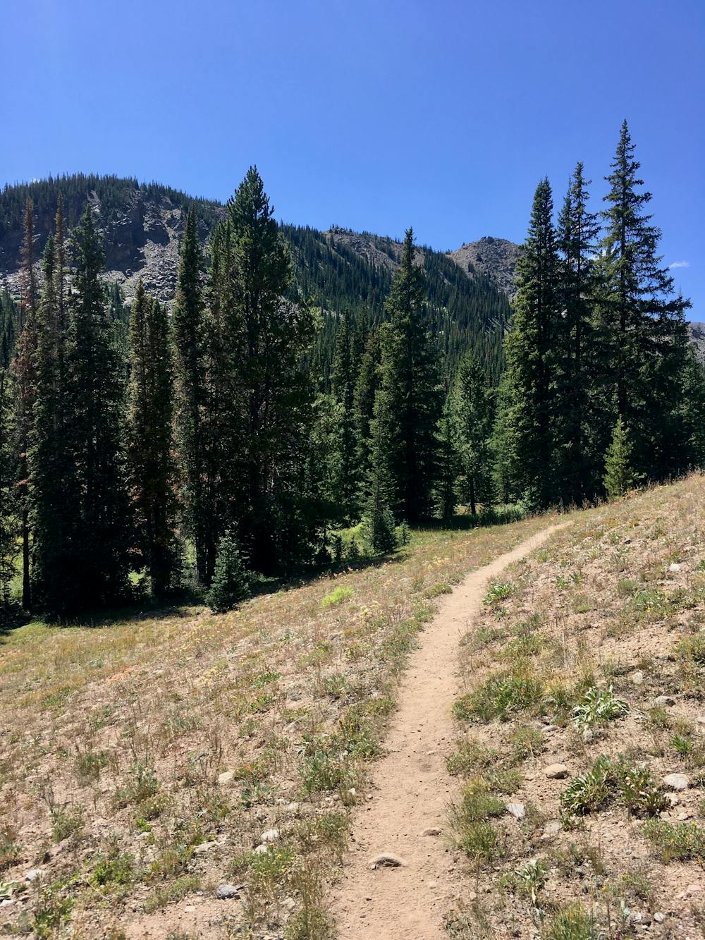Photo from Colorado Trail: Tennessee Pass to Holy Cross Wilderness Out-and-Back