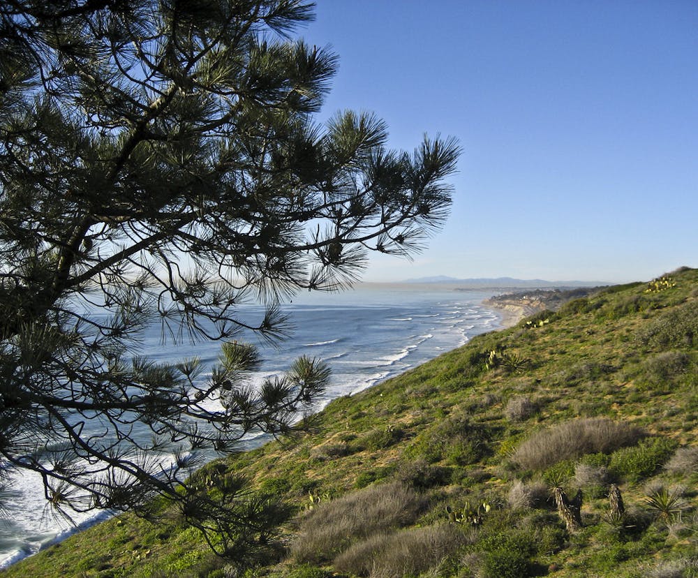 Ocean view from Guy Fleming Trail