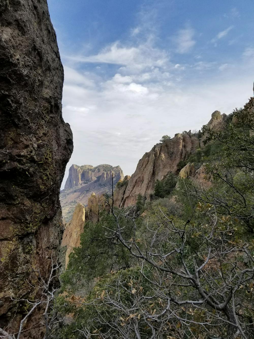 View near Emory Peak Trail