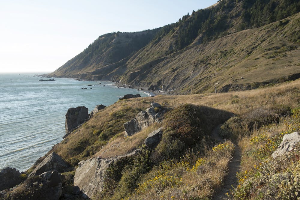 Photo from Lost Coast Trail