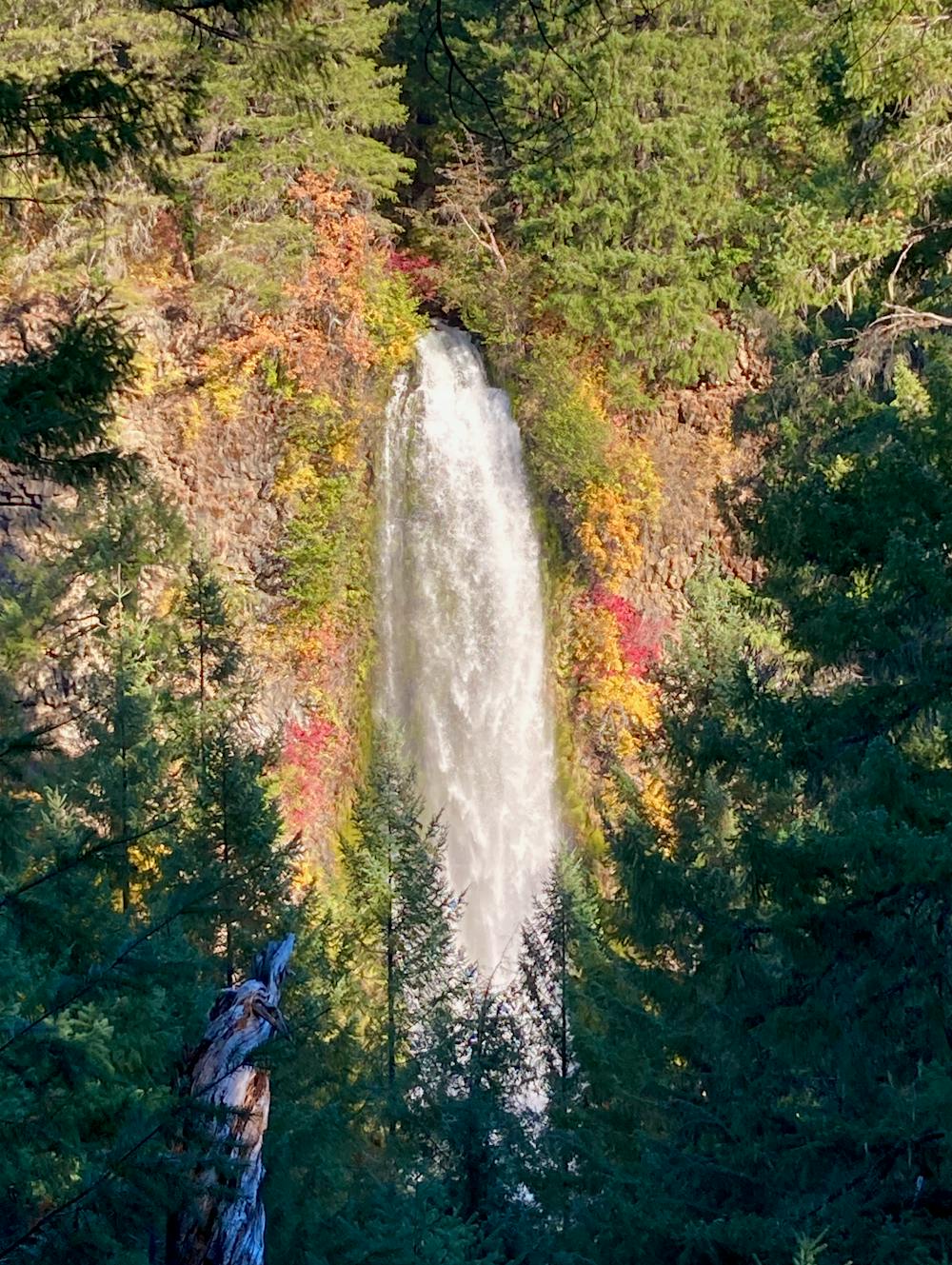 Photo from Mill Creek Falls