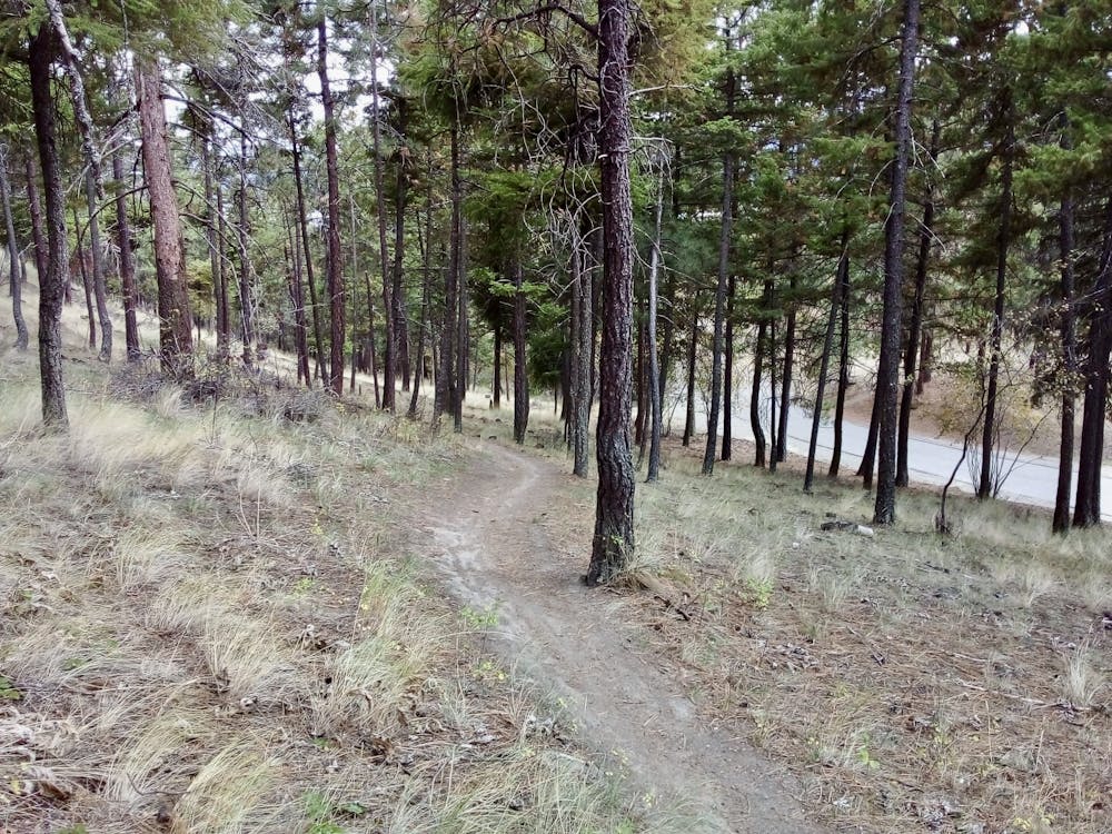 The initial section of trail after leaving Knox Mountain Drive