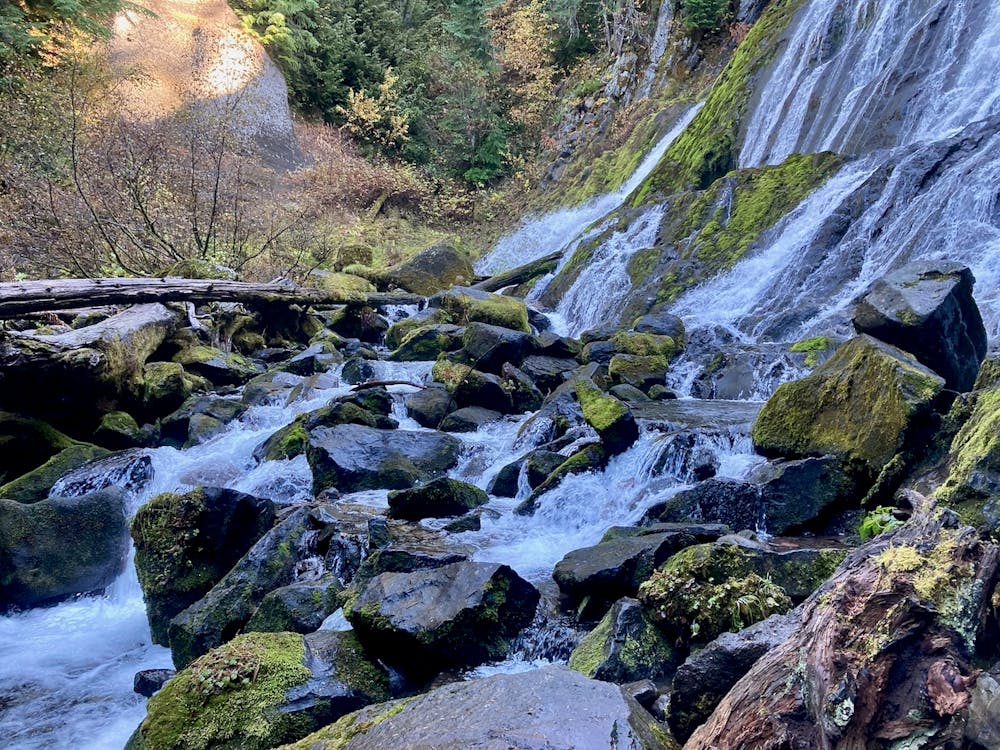 Photo from Diamond Creek Falls Loop