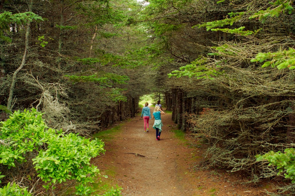 Wonderland Trail at Acadia NP
