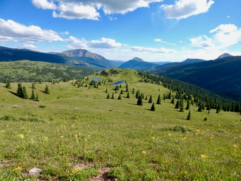 Photo from Colorado Trail: Molas Pass to Hermosa Park Road