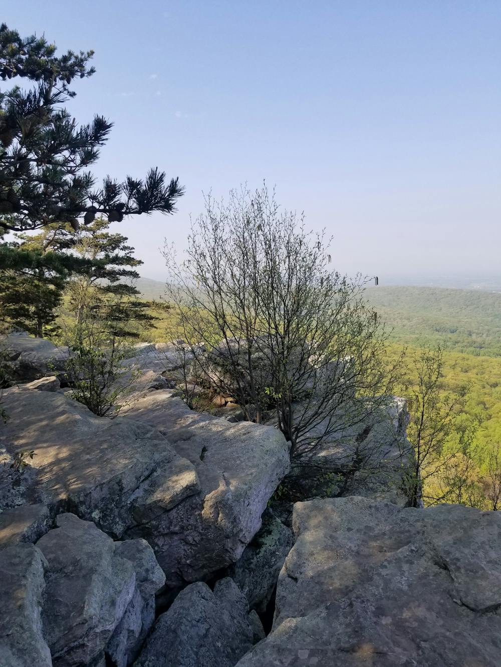 Annapolis Rock in May