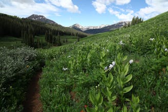 West Maroon Trail: Aspen to Crested Butte