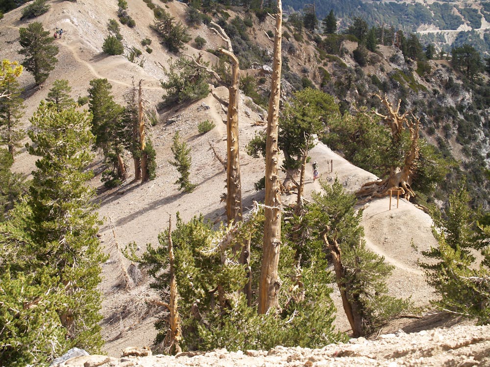 Steep inclines along the ridge of Mount Baden Powell