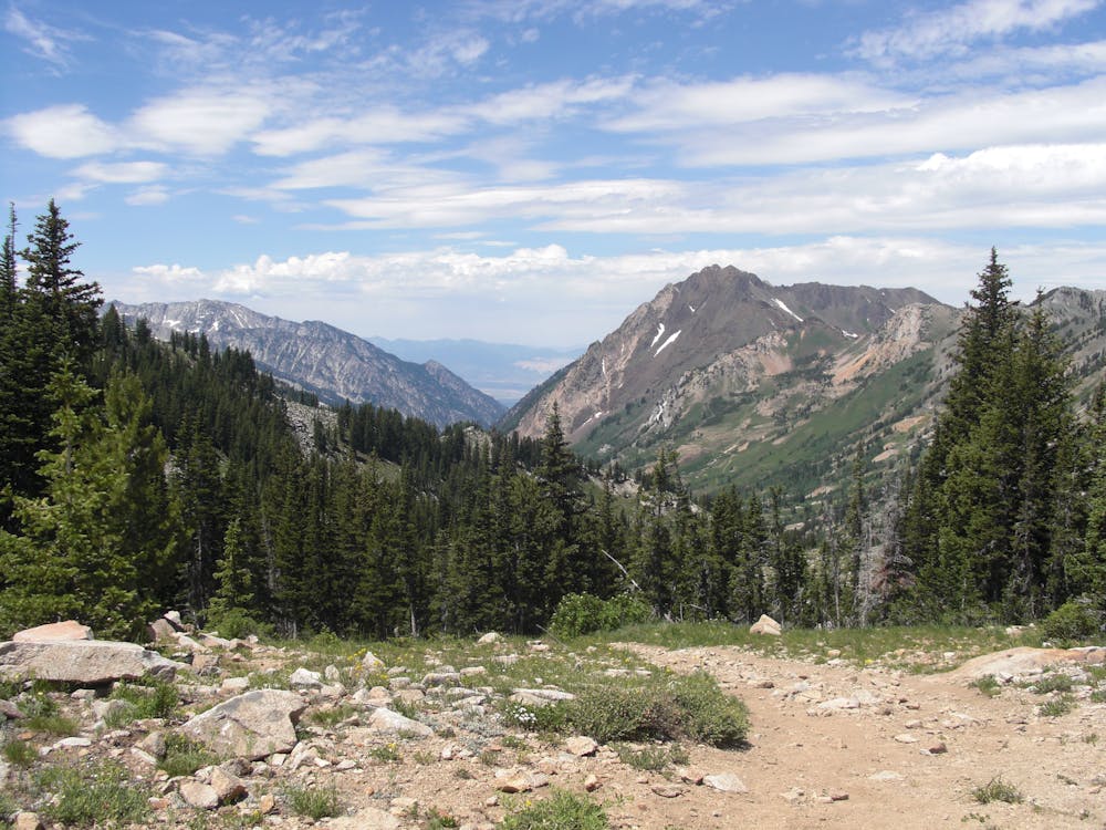 Looking back into Grizzly Gulch from the saddle point to Twin Lakes