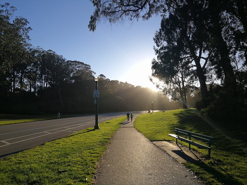 Multi-use path in Golden Gate Park