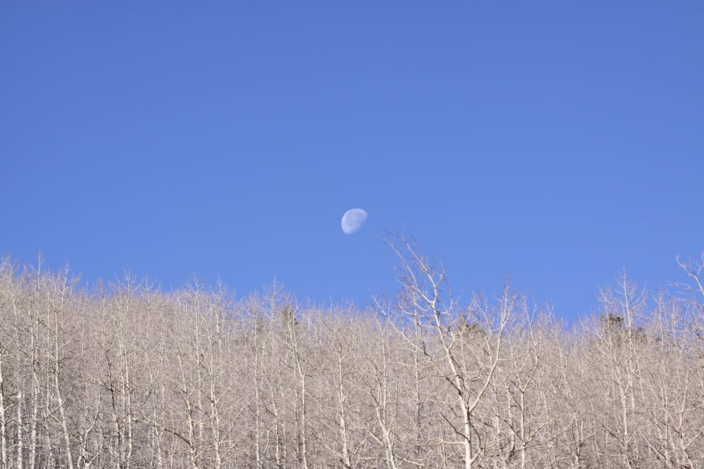 The Moon is seen above the slopes of Butler Fork