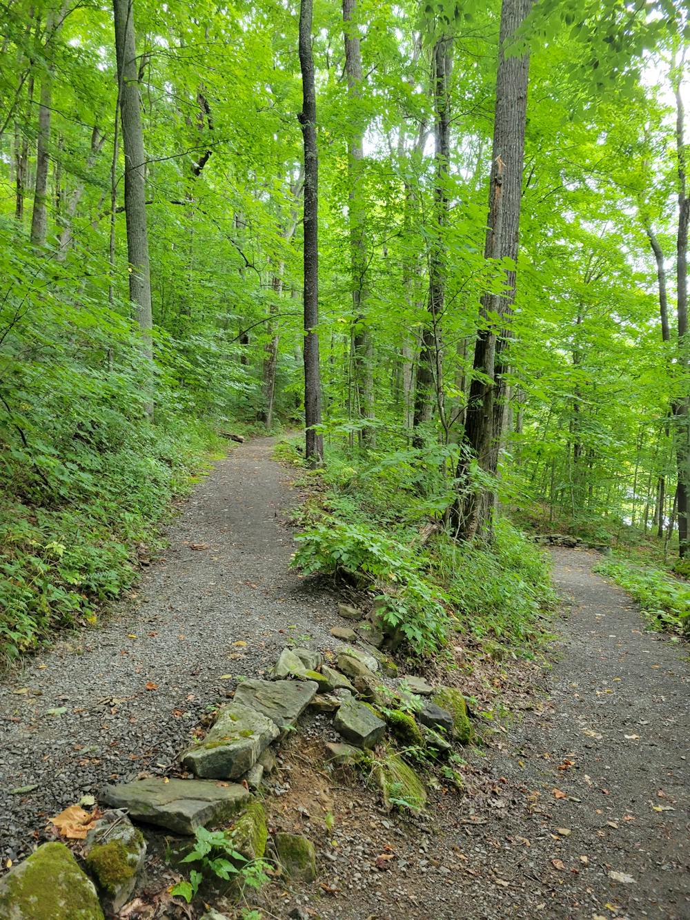 Honeycomb Rocks Trail