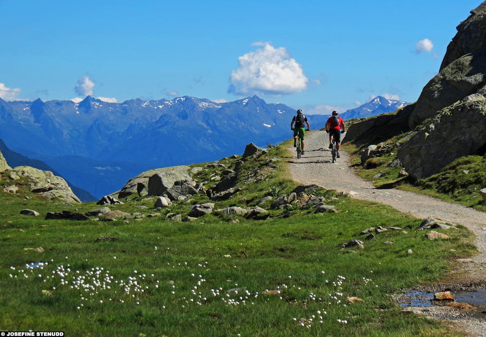 20130731_09 Mountain bikers on trail near Alp Grüm, Switzerland