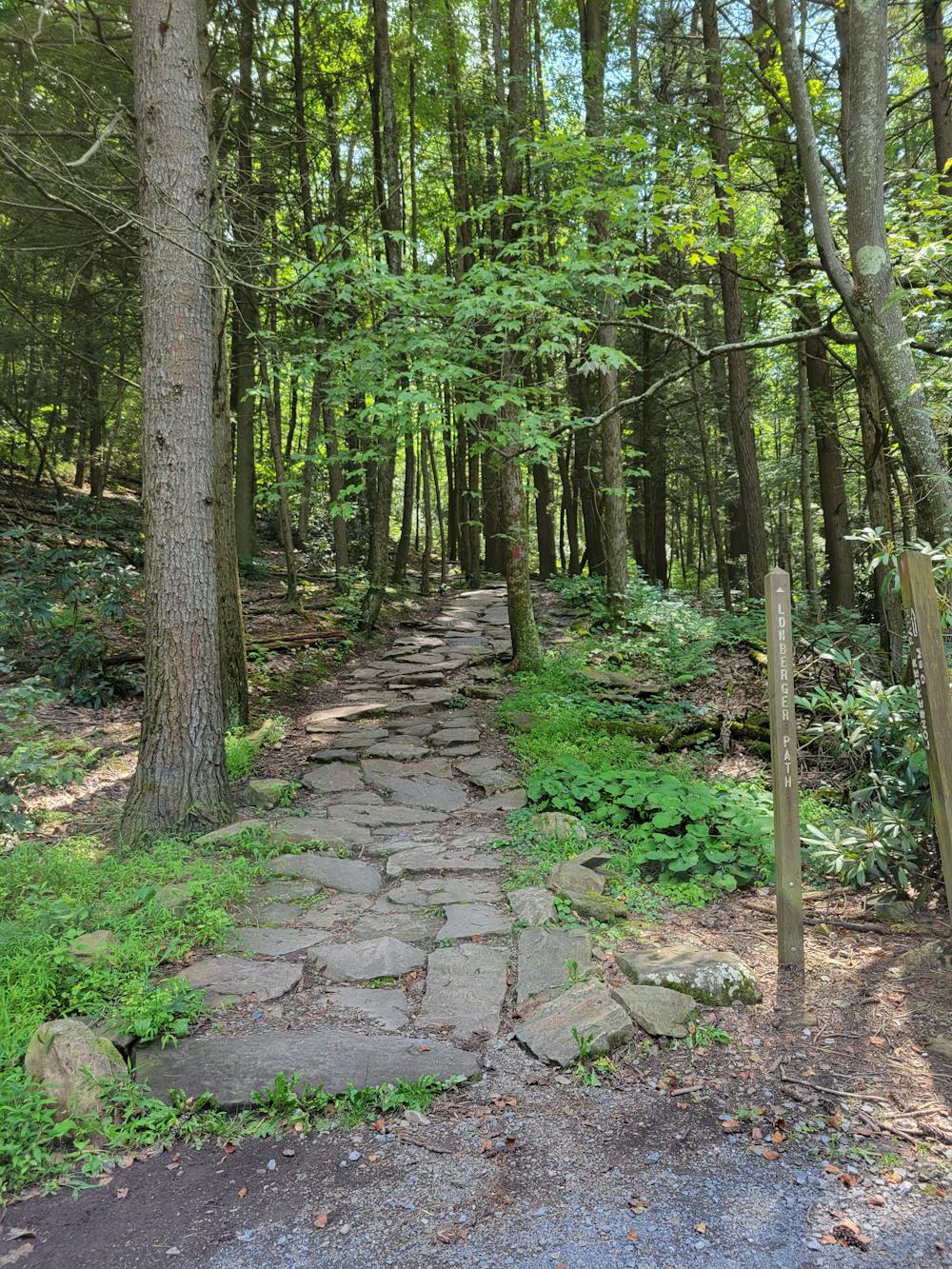 Lonberger Trail