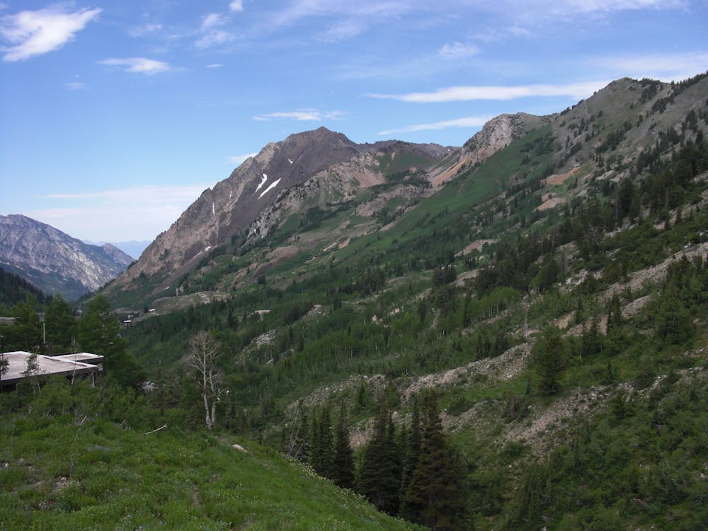 View down the Grizzly Gulch, Little Cottonwood Canyon, Utah