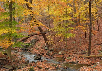 Appalachian Trail: PA-16 to Pine Grove Furnace State Park