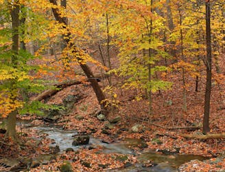 Appalachian Trail: PA-16 to Pine Grove Furnace State Park