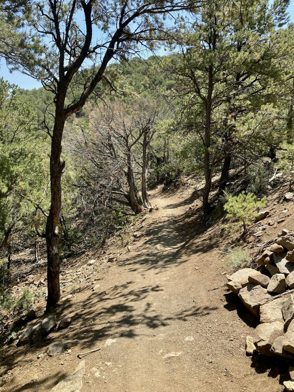 Photo from Ojitos -> South Boundary Loop
