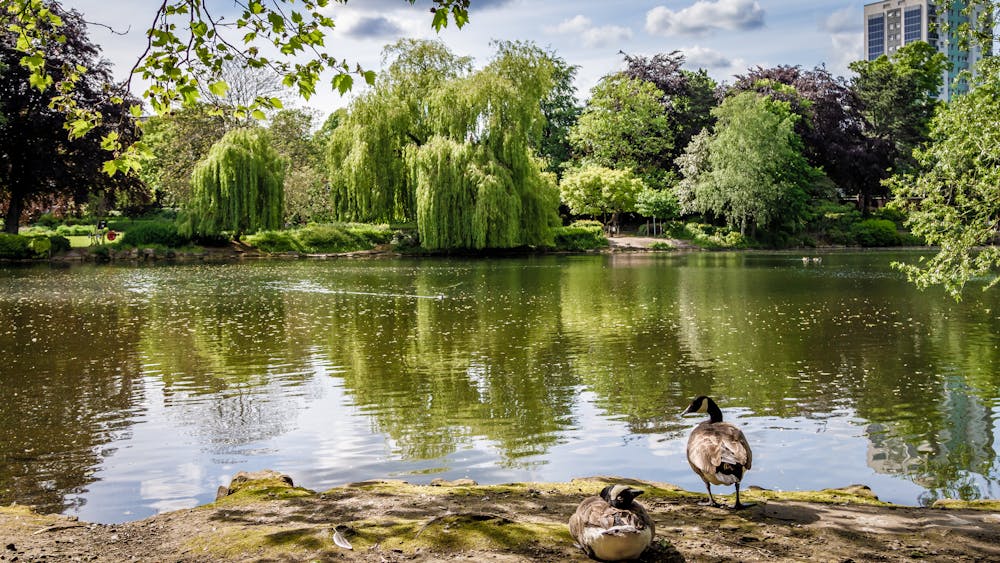 The lake at Walsall Arboretum