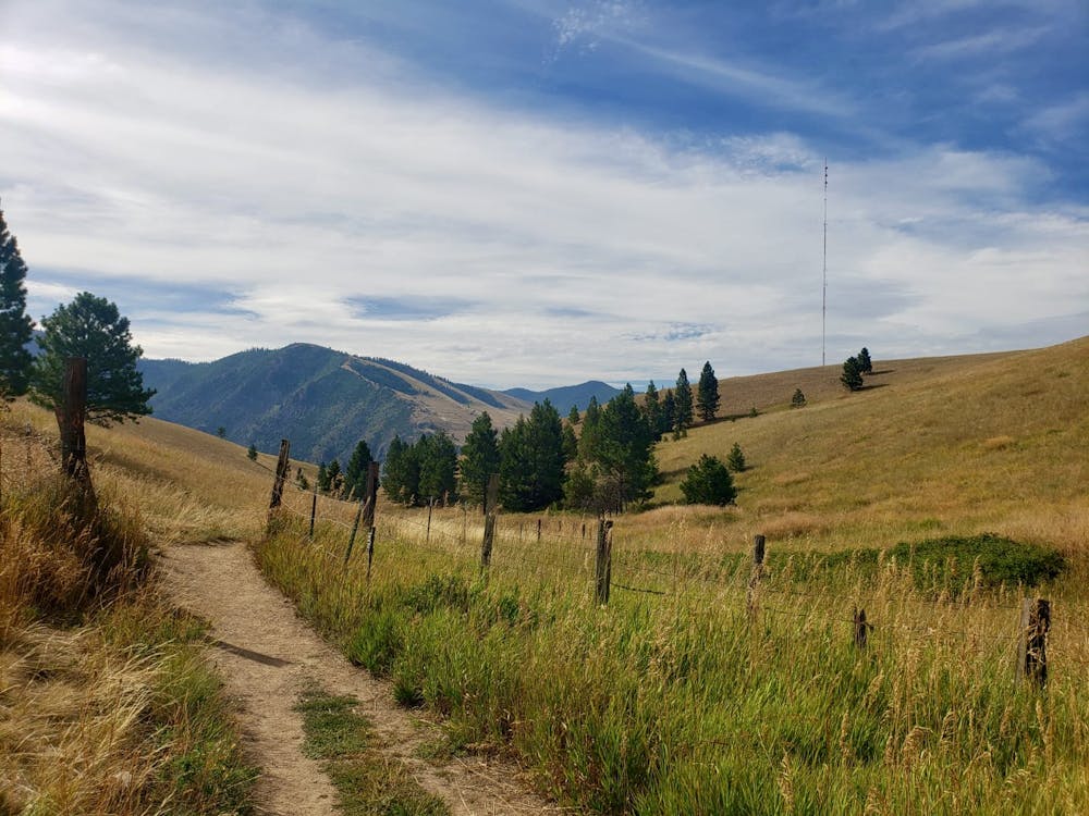 Looking back towards Mount Sentinel and the Missoula M
