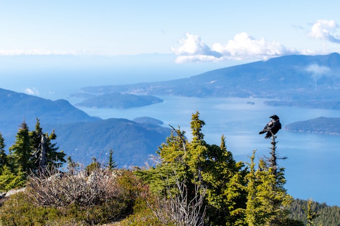 3 Terrific, Tough Hikes in North Vancouver