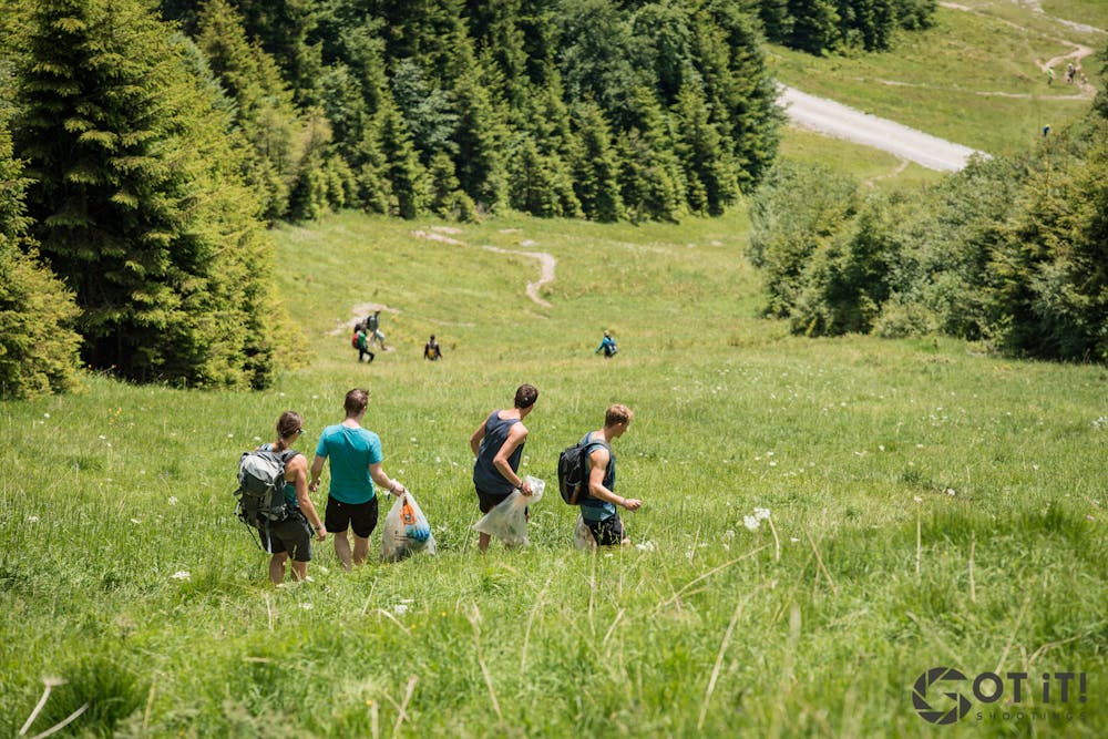 Walking in the grass