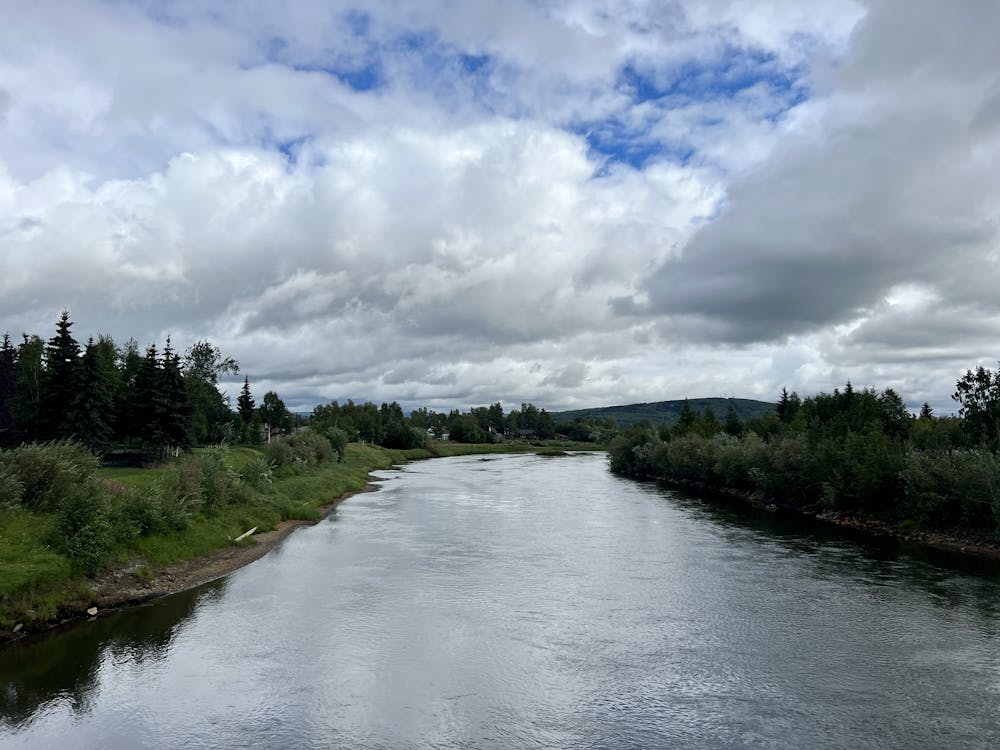 Photo from Chena River Greenway