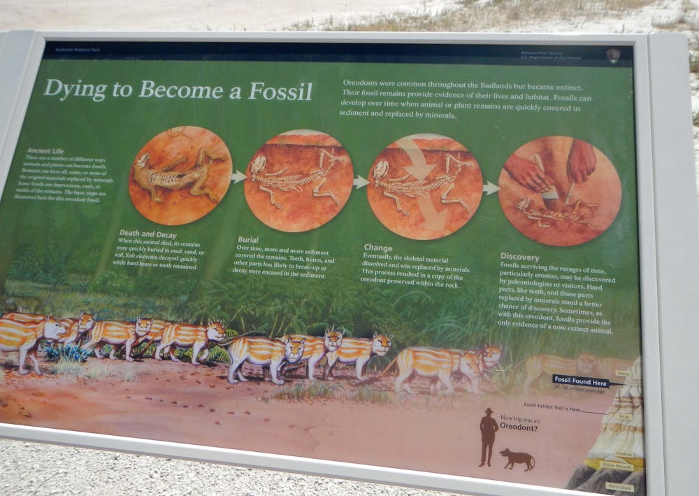 Fossil Exhibit Trail, Badlands NP