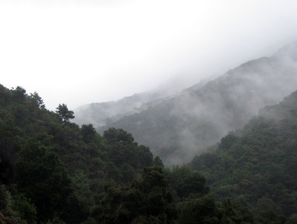 Fog in the hills near Sturtevant Camp